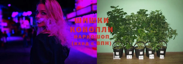 амф Нефтекумск